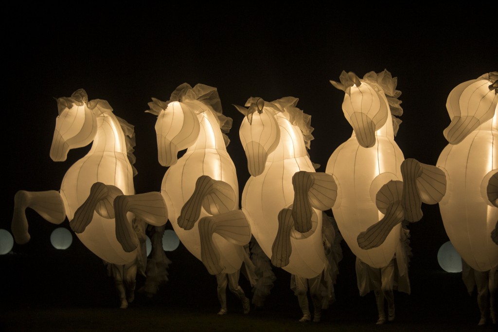 FierS à Cheval Chevetogne